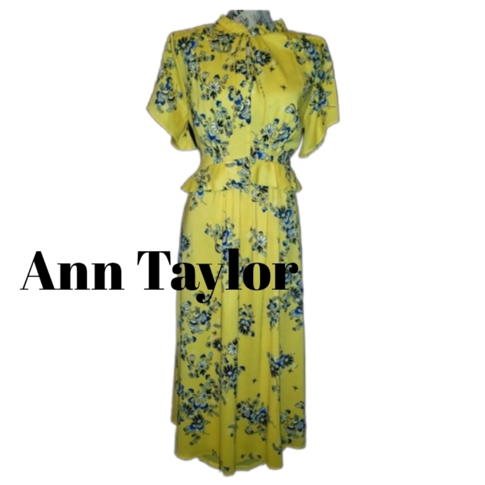 NWOT Ann Taylor Dress